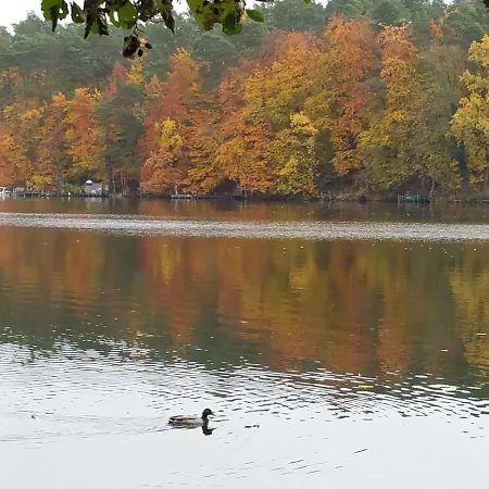 Feriehus Mobile-home