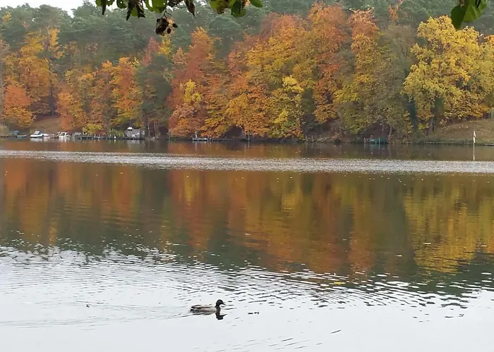 Semesterbostad Mobile-home